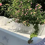 Kiraz Cicegi Butik * Akyaka (Mugla)