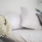 Kiraz Cicegi Butik