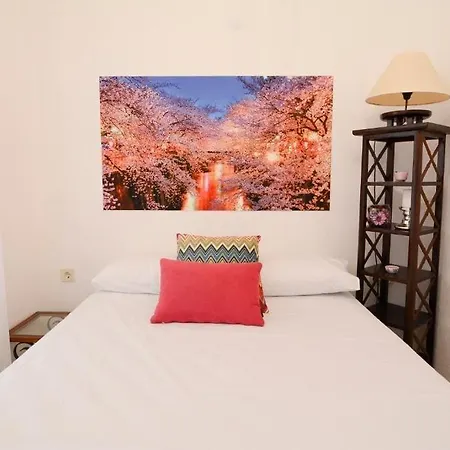 Hotel Kiraz Cicegi Butik