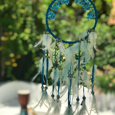 Kiraz Cicegi Butik Akyaka (Mugla)