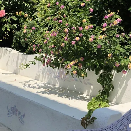 Kiraz Cicegi Butik * Akyaka (Mugla)