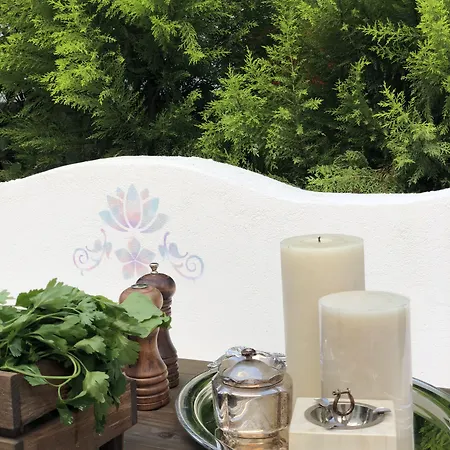 Kiraz Cicegi Butik ホテル *