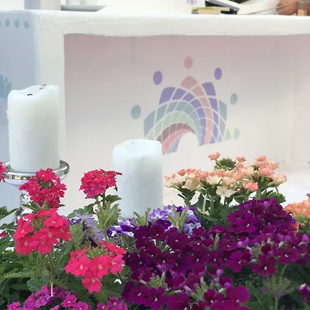 ホテル Kiraz Cicegi Butik *