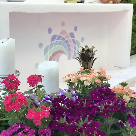 Kiraz Cicegi Butik * アクヤカ