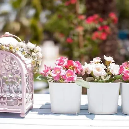 ホテル Kiraz Cicegi Butik アクヤカ