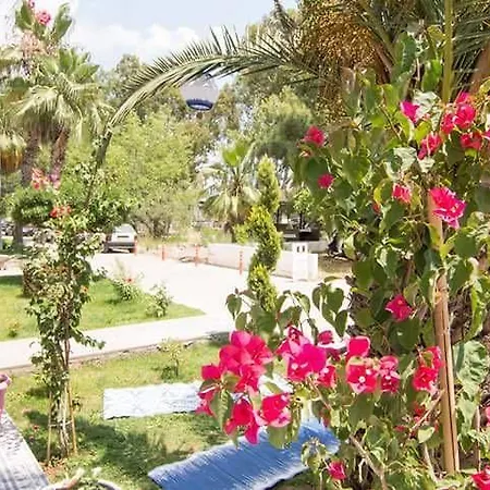 Kiraz Cicegi Butik Akyaka (Mugla)