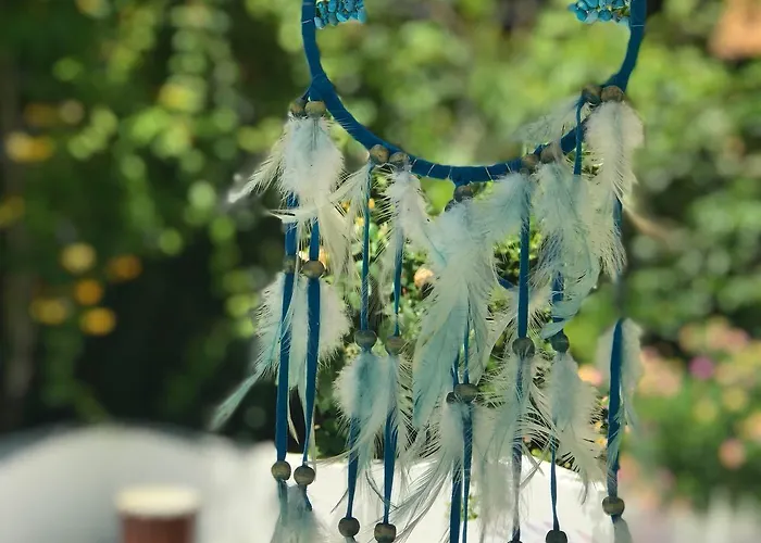 Kiraz Cicegi Butik Akyaka (Mugla)