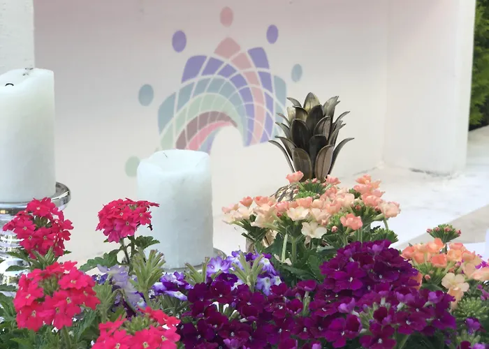 Kiraz Cicegi Butik * Akyaka (Mugla)