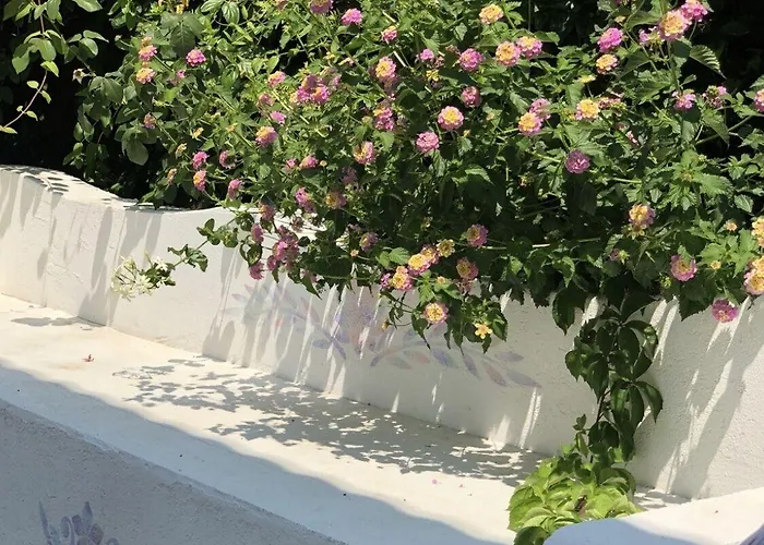 Kiraz Cicegi Butik * Akyaka (Mugla)